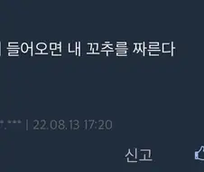 디시인 공약