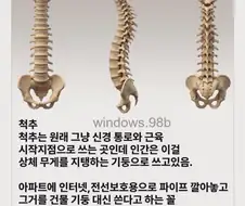 인간이 잘못된 용도로 쓰고 있는 것.jpg