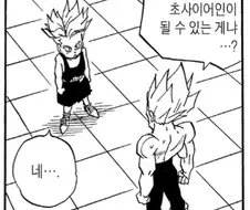 드래곤볼) 의외로 베지터가 관심없는 캐릭터