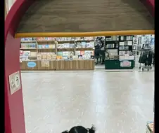 안전의식이 높은 아동