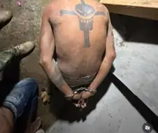 에콰도르에서 발견된.jpg