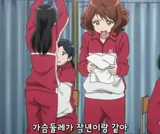 옳게 된 가슴 크기.jpg