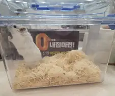 0원으로 내집 마련