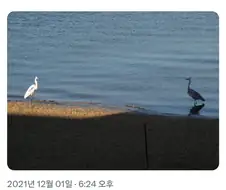 "말도 안돼... 이건 나잖아?"