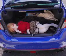 불시검문을 받으면 곤란한 차량.jpg