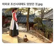 의외로 조선시대에도 있었던것.