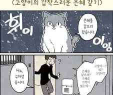 고양이의 은혜 갚기.manga