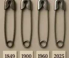 디자인계의 졸트라크
