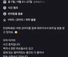 추석 강아지 돌봄 알바