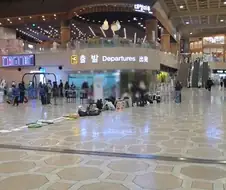 홈마는 밟아주는게 인지상정