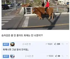 전기차 위험하다고 해서 수소차 알아보는 중