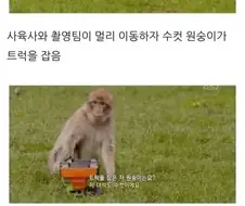 남녀 차이에 대한 bbc실험 jpg.