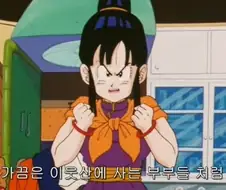 드볼 손오공 운전면허증 따는 만화