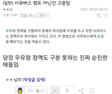 서큐버스를 속이는 방법.jpg