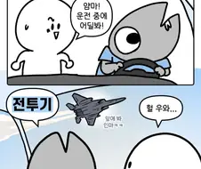 공항 주변지역의 관광산품(?) 만화.jpg