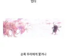 원피스) 드럼왕국 사람들이 쵸파를 배척한 이유