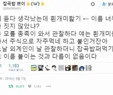 가끔 몇몇동물은 이름을 대충 짓는거 같지 않냐?