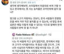 브라질 사람에게 한국인 상대 키배 이기는법 조언하는 대만인