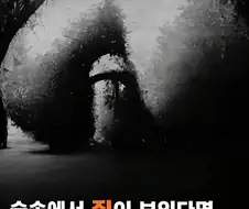 좌뇌형 우뇌형 타입 구별이 가능하다는 그림