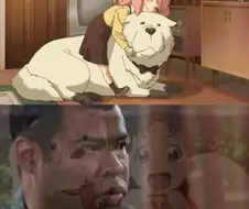 스파이패밀리) PTSD 오는 양덕들