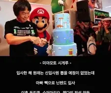 낙하산 아닌 낙하산