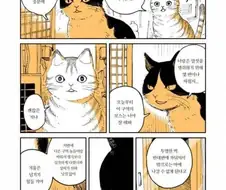 두목고양이 은퇴하는 만화