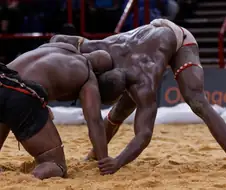 논문) 서아프리카계 흑인들이 피지컬이 개쩌는 이유