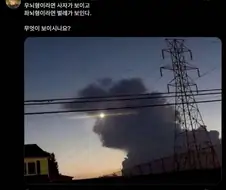 우뇌형이면 사자가, 좌뇌형이면 벌레가 보인다는 사진