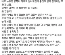 누나가 E컵이면 좋은 점.