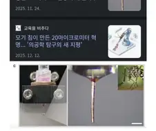 인류에게 도움이 될 수 있게 된 모기