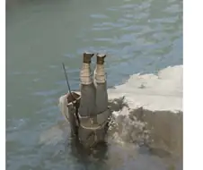 붉은사막) 퓰리처상