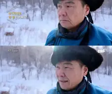반려견 죽어도 안슬프다는 남자