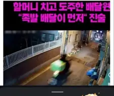 인간임을 포기한 패드립.jpg