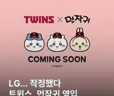 LG팬은 좋겠다