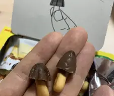 우리 중에 스파이가 있는 것 같아