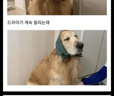 골댕이 건조시키는 방법