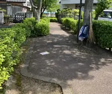 일본 길거리에 있던 av(?)전단지