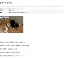 피자배달부에게 팁을 줬더니 생긴 일ㅋㅋㅋㅋㅋ