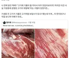 혐) 기생충에 감염된 고기는 맛있어보인다