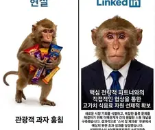 이력서 쓰는 법