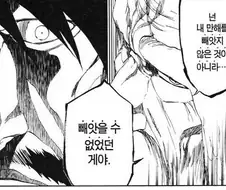 블리치 석두는 잘못 없는 장면