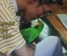 원피스 떡밥 요약
