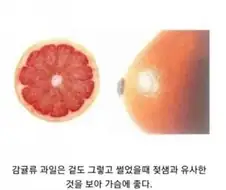 생긴대로 효능이 있는 음식들