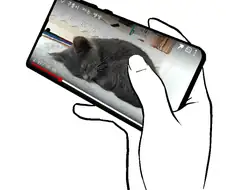 고양이 보러가는.manhwa