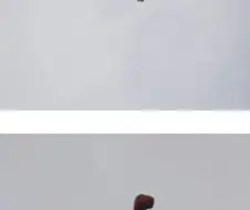 카리스마대빵큰오리가 묘하게 하늘을 신경쓰길래 올려봤더니.jpg