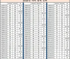 2026년 완벽 나이 정리표