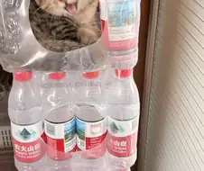 생수병 스파이
