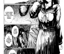 개변태착정주법 만화