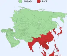 쌀이 중요한 이유