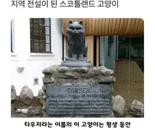 고양이 석상이 세워진 이유